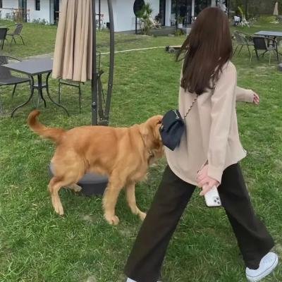 挑战者联盟
